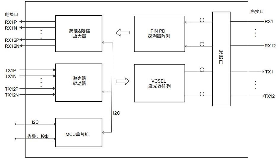 1742276609201370.jpg POB11.jpg